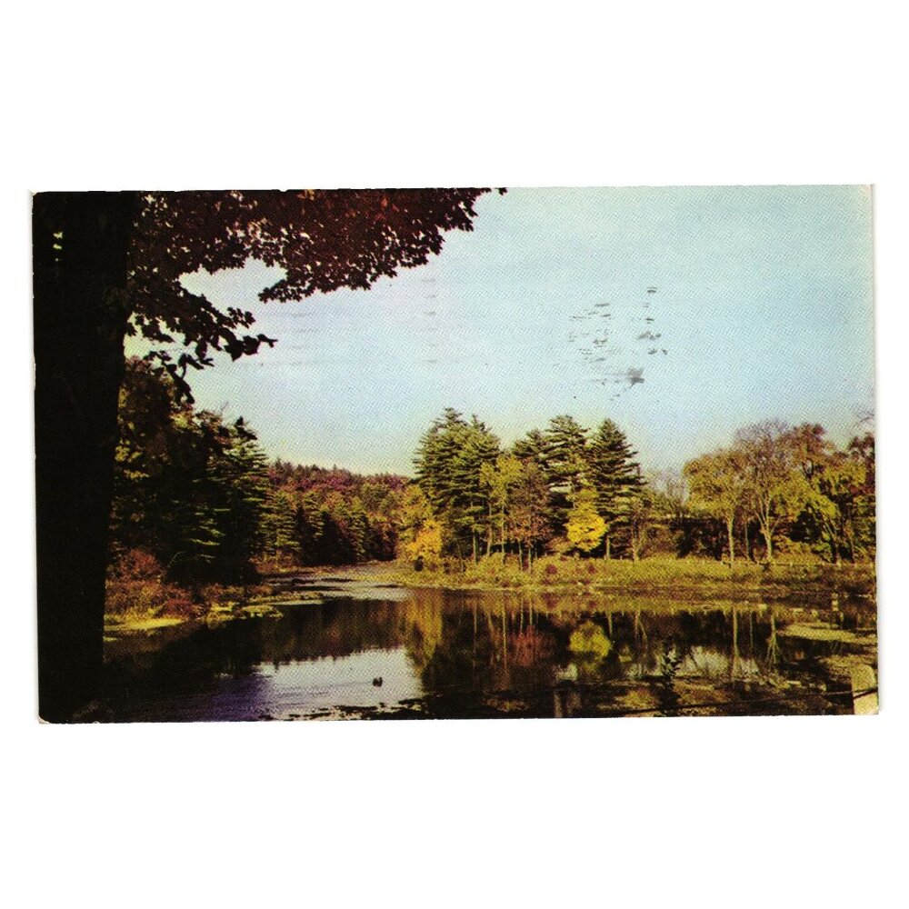 Ansco Color Dexter Beauty Postcard Trees Lake Reflection Spooner WI Vintage